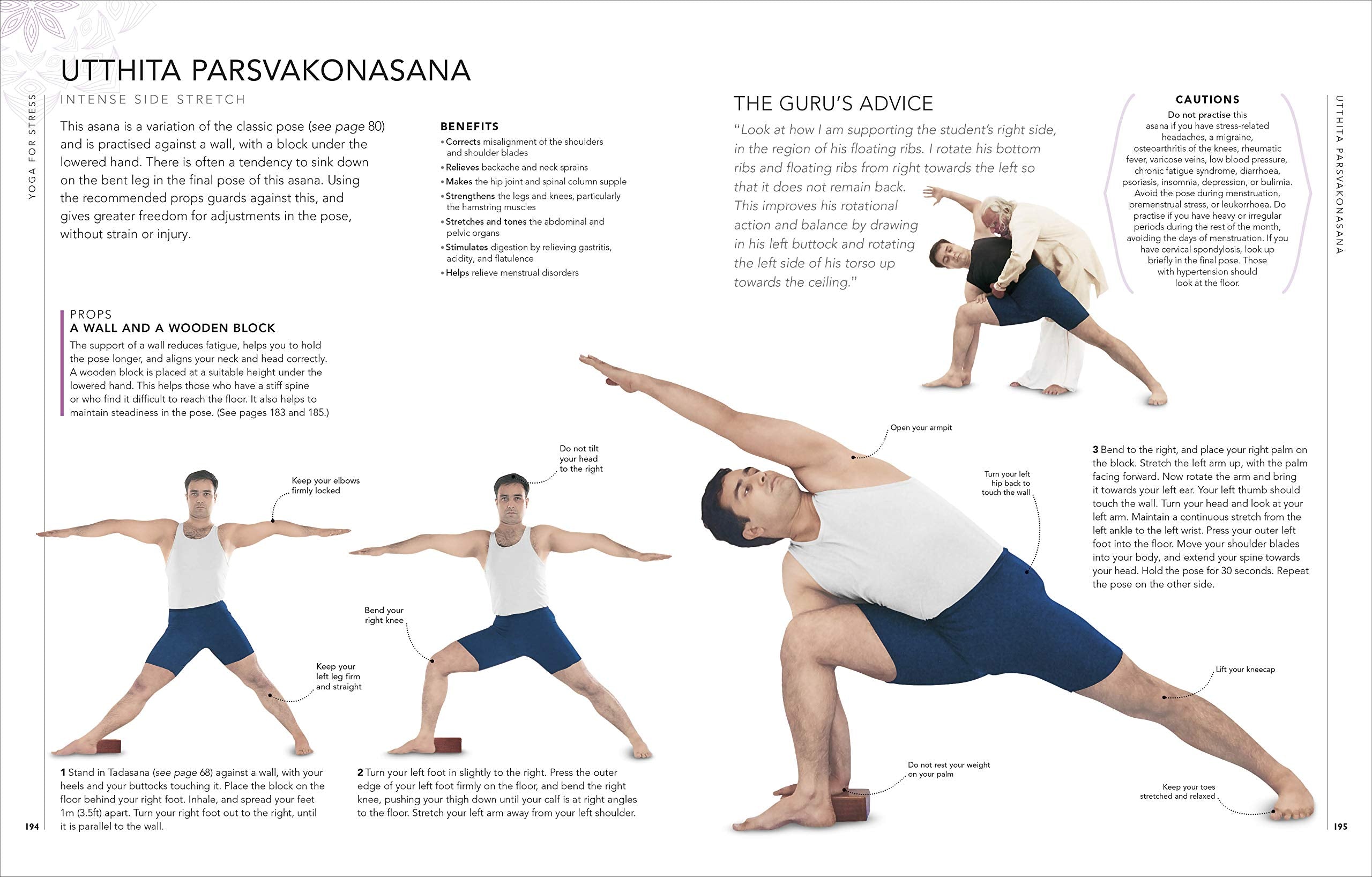 B.K.S. Iyengar Yoga The Path to Holistic Health