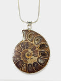 Pendentif ammonite fossile